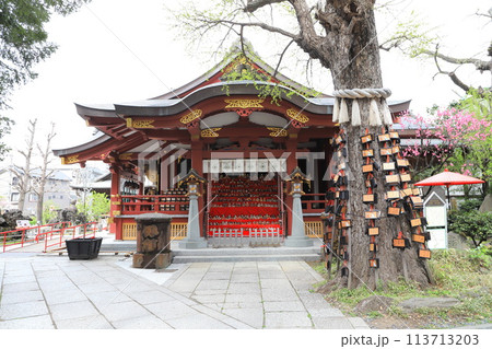 素盞雄神社（すさのおじんじゃ）　雛人形を飾った社殿 113713203