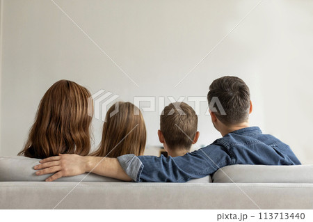 Family sitting together on a couch, rear view 113713440