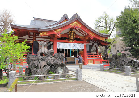 素盞雄神社（すさのおじんじゃ）　満開の桃の花と社殿 113713621