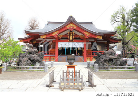 素盞雄神社（すさのおじんじゃ）　満開の桃の花と社殿 113713623