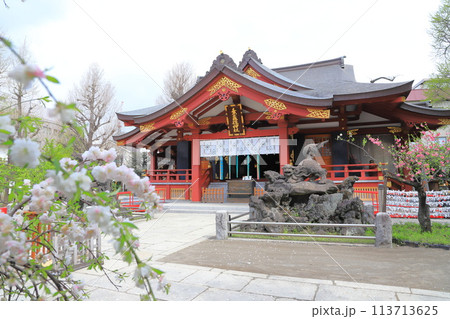素盞雄神社（すさのおじんじゃ）　満開の桃の花と社殿 113713625