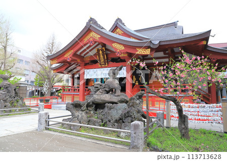 素盞雄神社（すさのおじんじゃ）　満開の桃の花と社殿 113713628
