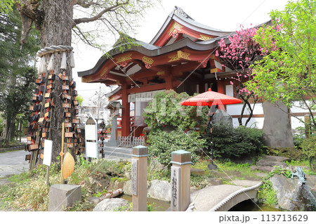素盞雄神社（すさのおじんじゃ）　満開の桃の花と社殿 113713629