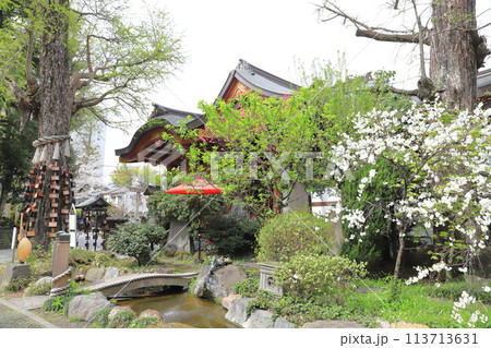 素盞雄神社（すさのおじんじゃ）　満開の桃の花と社殿 113713631