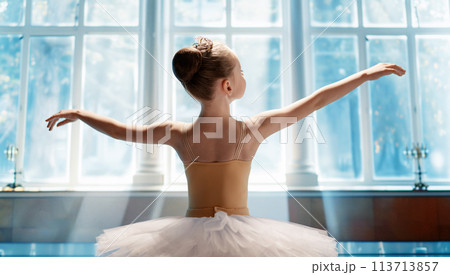 girl in a tutu dancing in the ball room girl in a tutu dancing in the ball room 113713857