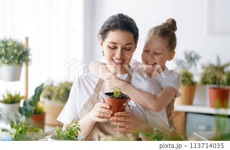 Family caring for plants Family caring for plants 113714035