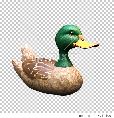 水辺を優雅に泳ぐカモの3DCG系モデル（透過処理） 113714109