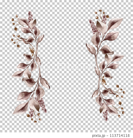 Maroon leaves and wild flowers in watercolor. Border of branches in sepia color isolated. Watercolor monochrome plants frame. Design of branding , invitations, printed products, save the date 113714118