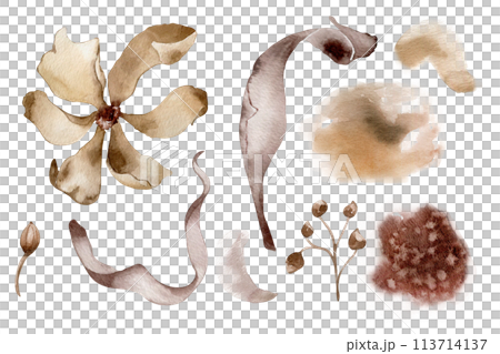 Flower and plants in monochrome watercolor set. Abstract flowers and leaves in sepia color isolated on white. Brown background. Suitable for the design of wedding cards, invitations, printed products Flower and plants in monochrome watercolor set. Abstract flowers and leaves in sepia color isolated on white. Brown background. Suitable for the design of wedding cards, invitations, printed products 113714137