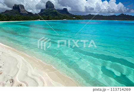 aerial view of tropical beach and sea with coconut palm tree aerial view of tropical beach and sea with coconut palm tree 113714269