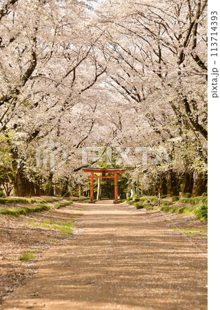 東蕗田天満社 113714393