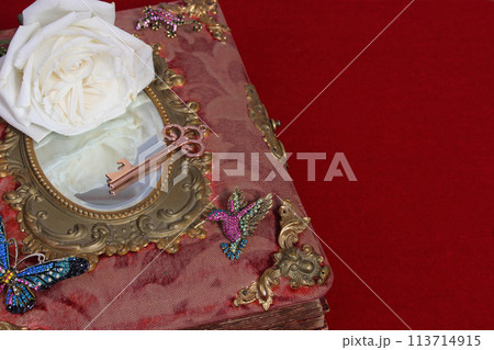 Antique Fairy Tale Book With Jewels and White Rose 113714915