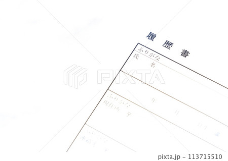 就職活動や転職活動に必要な履歴書 就職活動や転職活動に必要な履歴書 113715510