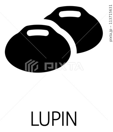 Lupin Bean Legume Food Icon Concept Lupin Bean Legume Food Icon Concept 113715631