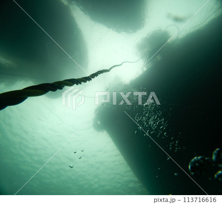 Umbilical leading to the surface from underwater Umbilical leading to the surface from underwater 113716616