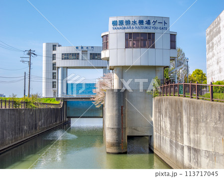柳原水門と柳原排水機場ゲート（千葉県市川市） 113717045