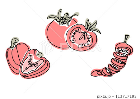 Vintage one line drawing of red veggies in boho style. Botanical outline retro drawing. Contour line outline composition isolated on white background 113717195