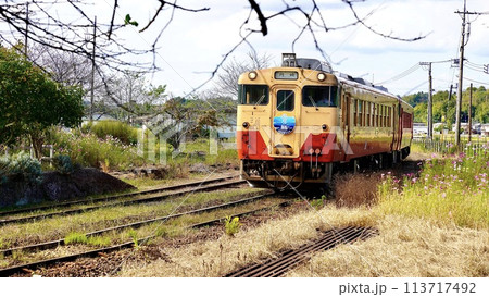 小湊鉄道上総鶴舞駅に入線する列車 小湊鉄道上総鶴舞駅に入線する列車 113717492