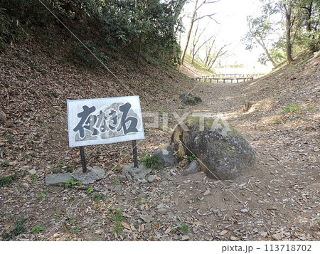 雉岡城跡 夜泣き石 113718702