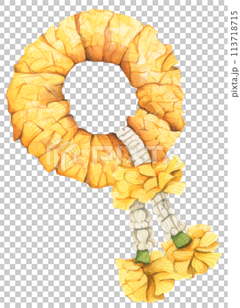 Thai garland colorful flower. Watercolor illustration. 113718715