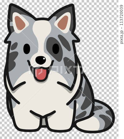Smiling sitting Border Collie (Blue Merle) with upright ears Smiling sitting Border Collie (Blue Merle) with upright ears 113720039