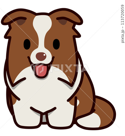 笑顔のおすわりする垂れ耳のボーダーコリー(レッドアンドホワイト) 笑顔のおすわりする垂れ耳のボーダーコリー(レッドアンドホワイト) 113720059