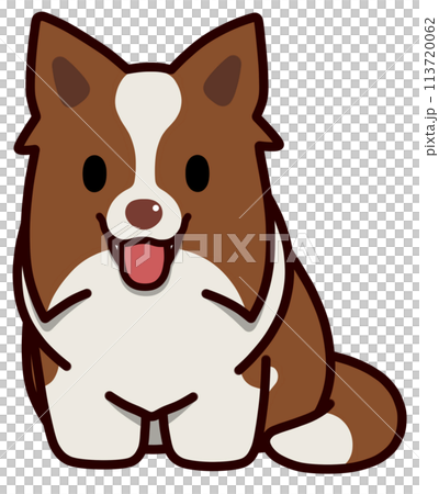 Smiling sitting border collie with upright ears (red and white) 113720062