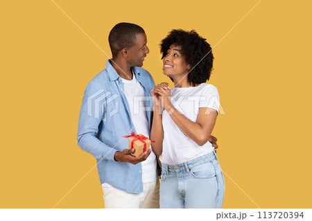 Affectionate young man gifting a small, charming box with a red bow to his surprised and delighted partner 113720394