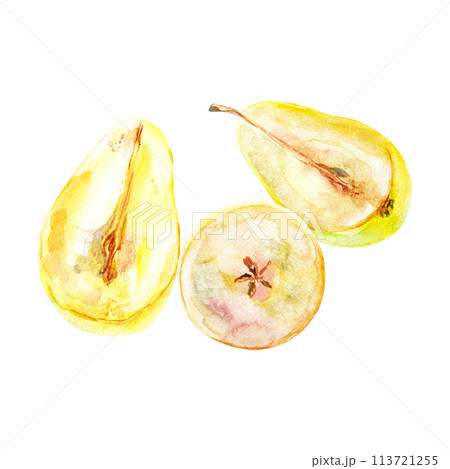 Set of fresh ripe yellow honey pear fruits. Hand drawn watercolor illustration. Delicious aromatic fruit ripened on a tree 113721255