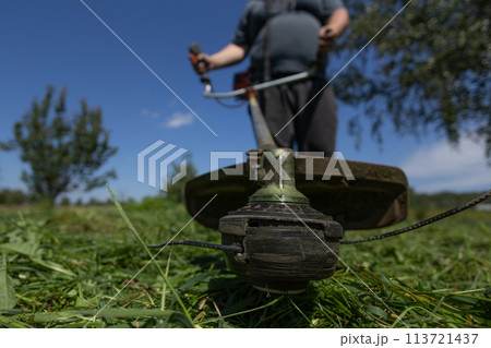 The trimmer head close-up against the background of mown grass in the hands of a man. A man with a trimmer mows the grass on his overgrown lawn behind his house. 113721437