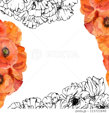 Hand drawn watercolor botanical illustration flowers leaves. Red poppy papaver, stems buds seedpods. Border frame isolated on white background. Design wedding, love cards, remembrance day stationery 113721640