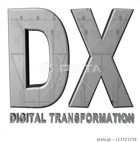 3DCG文字「DX(デジタルトランスフォーメーション)」シルバー,銀 3DCG文字「DX(デジタルトランスフォーメーション)」シルバー,銀 113721738