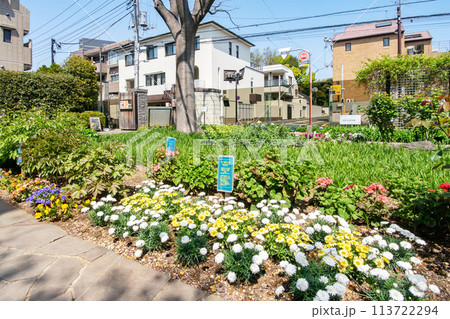 東京都品川区立公園、ねむの木の庭 113722294