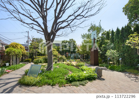 東京都品川区立公園、ねむの木の庭 113722296
