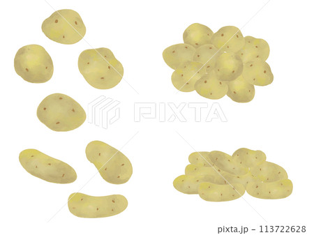水彩風　じゃがいも　セット 113722628