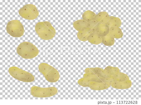 水彩風　じゃがいも　セット 113722628