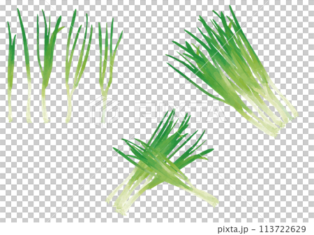 水彩風格大蔥套裝 113722629
