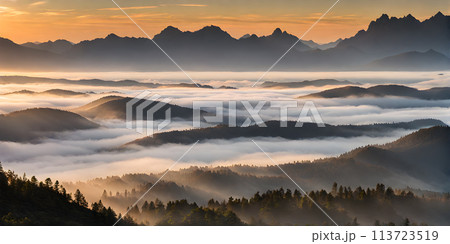 Fog obscuring the peaks of majestic mountains, landscape engulfed in a soft grey mist 113723519
