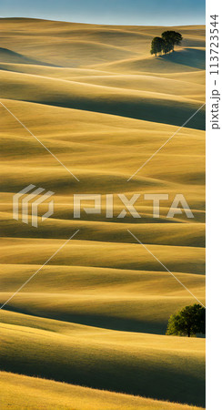 Golden sunlight bathes rolling hills in minimalist summer landscape 113723544