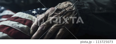 senior man with US flag, panoramic, generative AI senior man with US flag, panoramic, generative AI 113725073