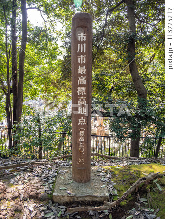 市川市最高標高地点を示す標柱（千葉県市川市・里見公園内） 113725217