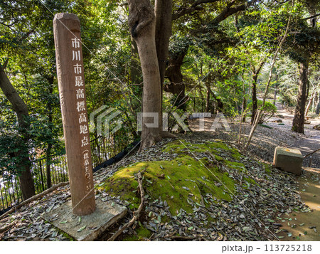 市川市最高標高地点を示す標柱(千葉県市川市・里見公園内) 市川市最高標高地点を示す標柱(千葉県市川市・里見公園内) 113725218