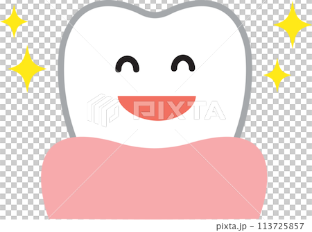 健康的牙齒 113725857