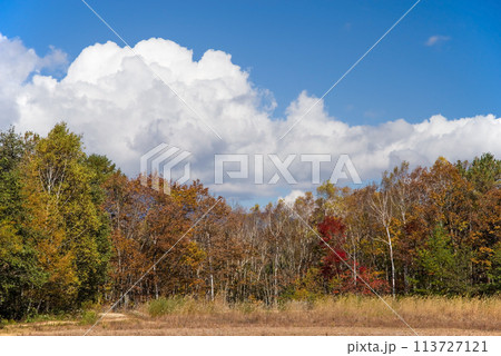 秋の日和田高原《池ノ原クロスカントリーコース(ちんまヶ池)》 113727121