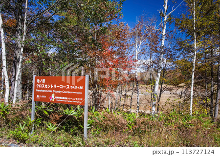 秋の日和田高原《池ノ原クロスカントリーコース(ちんまヶ池)》 秋の日和田高原《池ノ原クロスカントリーコース(ちんまヶ池)》 113727124