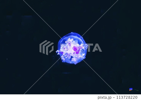 暗闇に浮かぶ地球 暗闇に浮かぶ地球 113728220