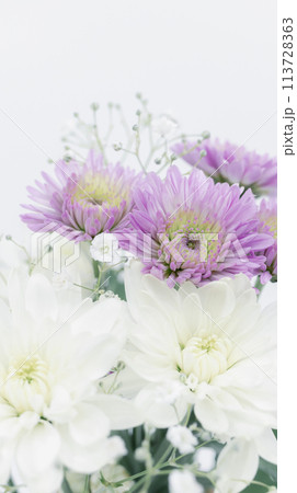 白と紫の菊の花　葬儀やお葬式の供花　喪中 113728363