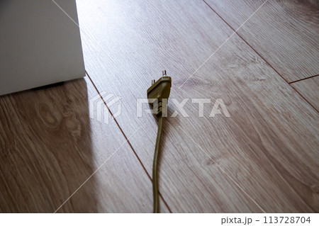 Brown power cord on hardwood floor near wooden door 113728704