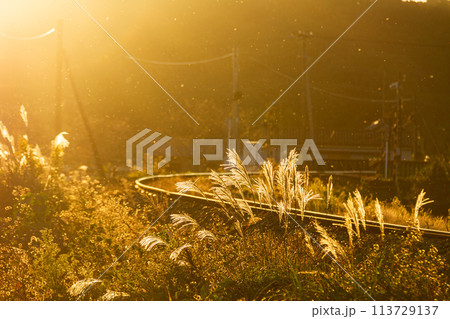 静岡県袋井市川会　天竜浜名湖鉄道と沿線の風景 113729137