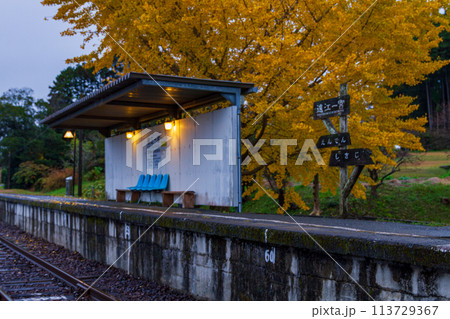 静岡県周智郡森町一宮　天竜浜名湖鉄道と沿線の風景 113729367